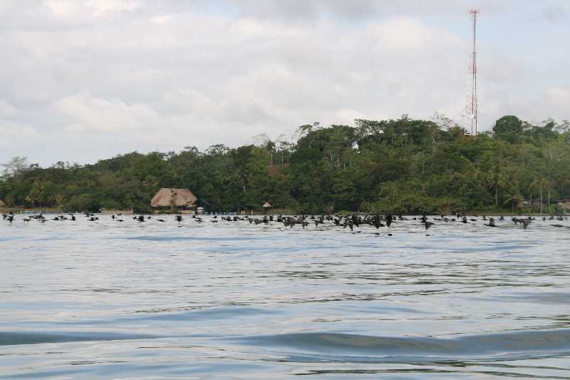 Mexico & Guatemala 2010 - 0937